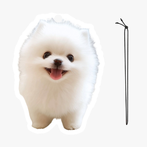 Personalized Photo Custom Shape Air Freshener,Car Ornaments | Absorbent Cotton Paper
